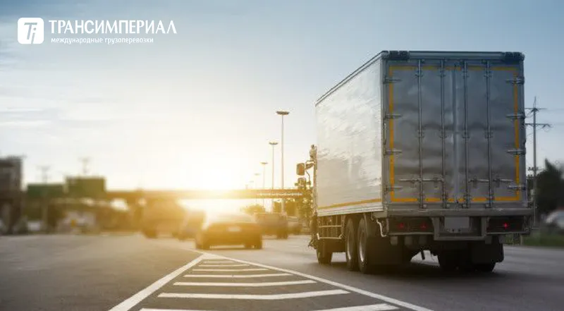 Sản phẩm 1 01 — Transimperial — MST EU2559850