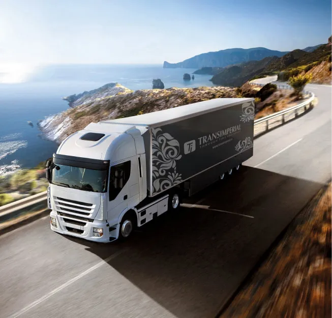 Sản phẩm perevozki_avtotransportom — Transimperial — MST EU2559850